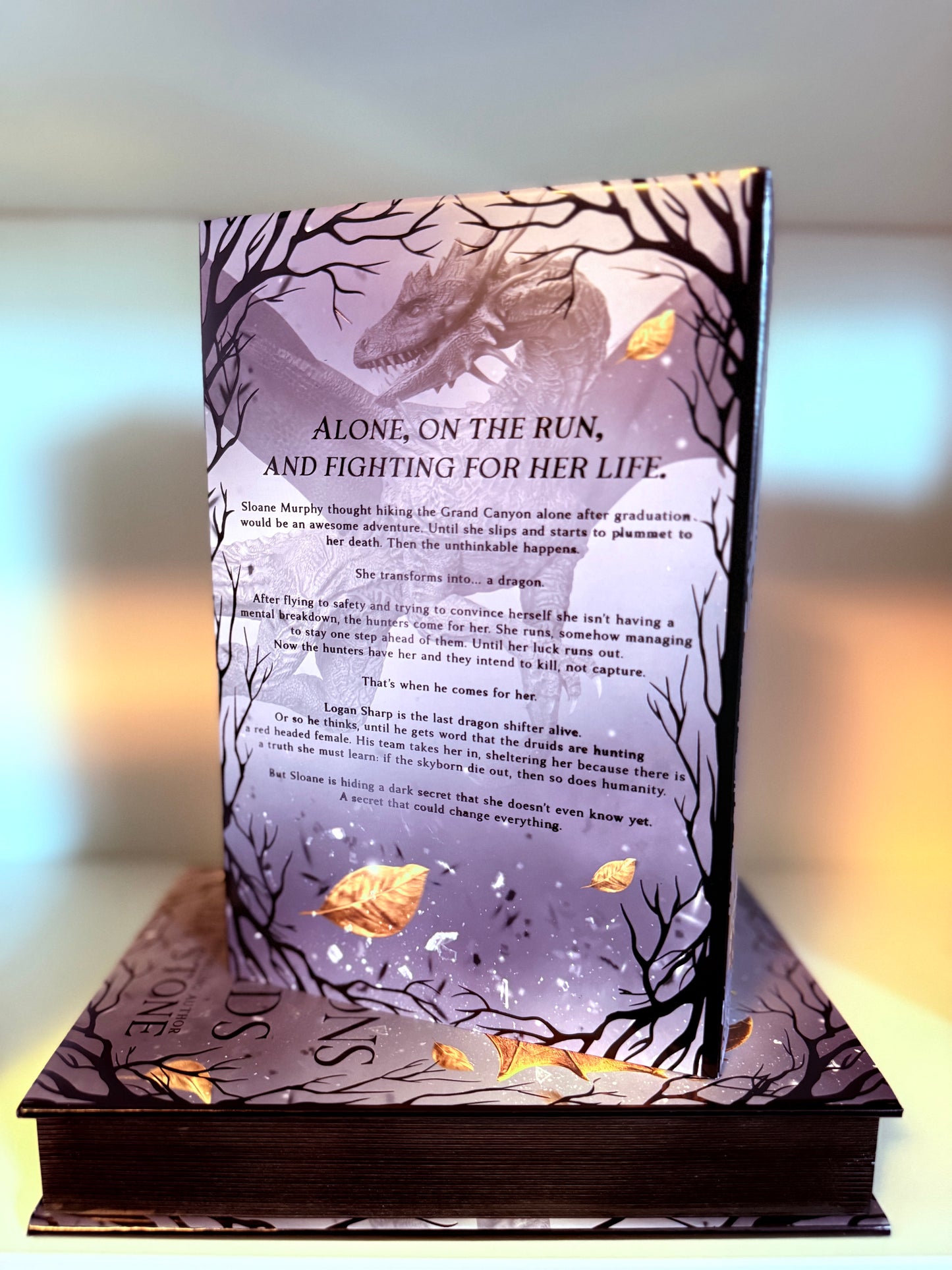 Dragons & Druids Special Edition OMNIBUS Hardback