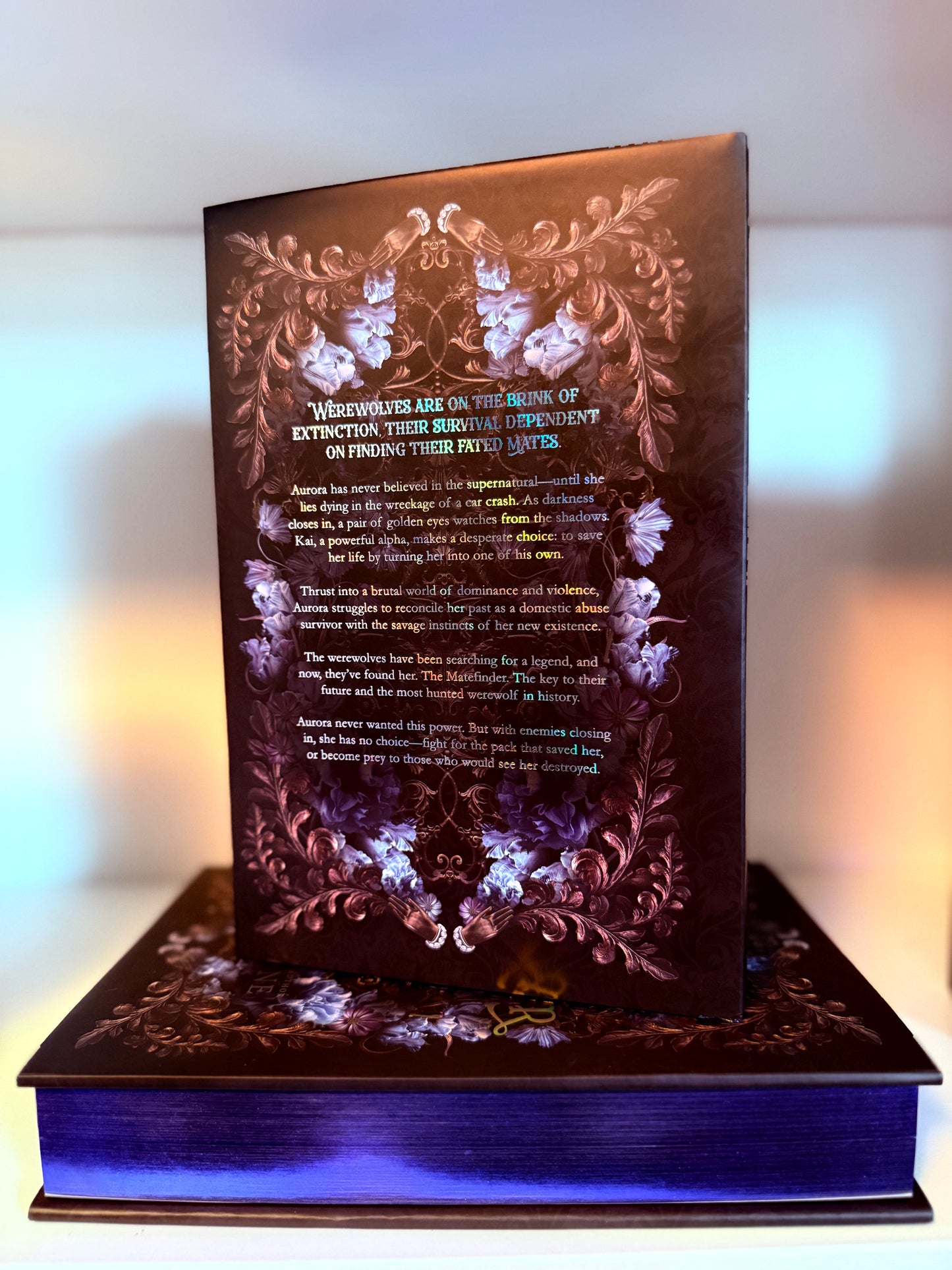 Matefinder Special Edition OMNIBUS Hardback