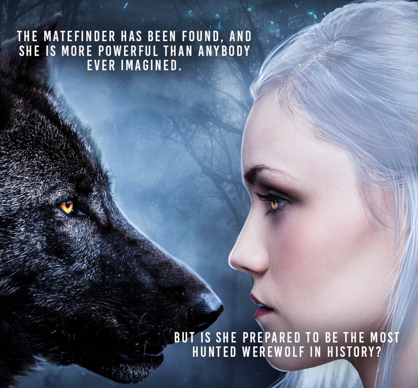 Fated Mates Werewolf Book Bundle