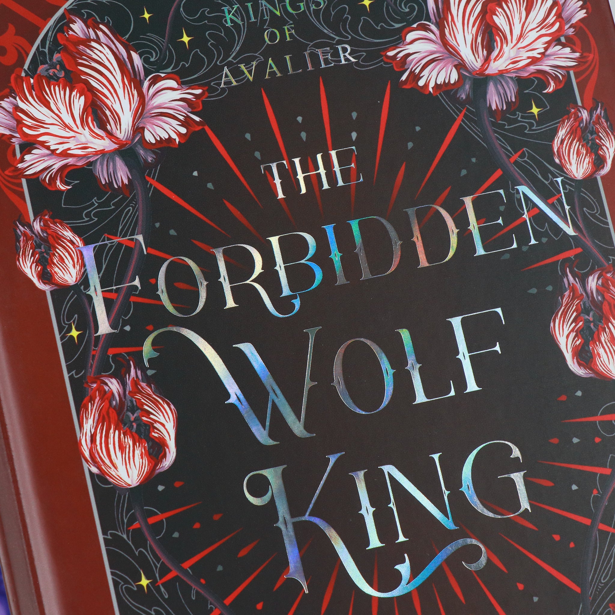 Kings of Avalier Collector's Edition BOXED SET