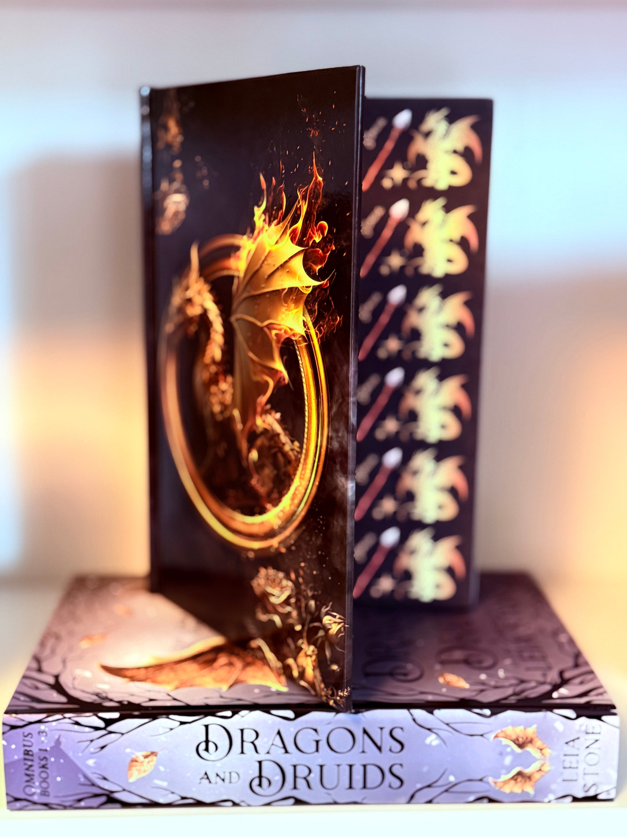 Dragons & Druids Special Edition OMNIBUS Hardback