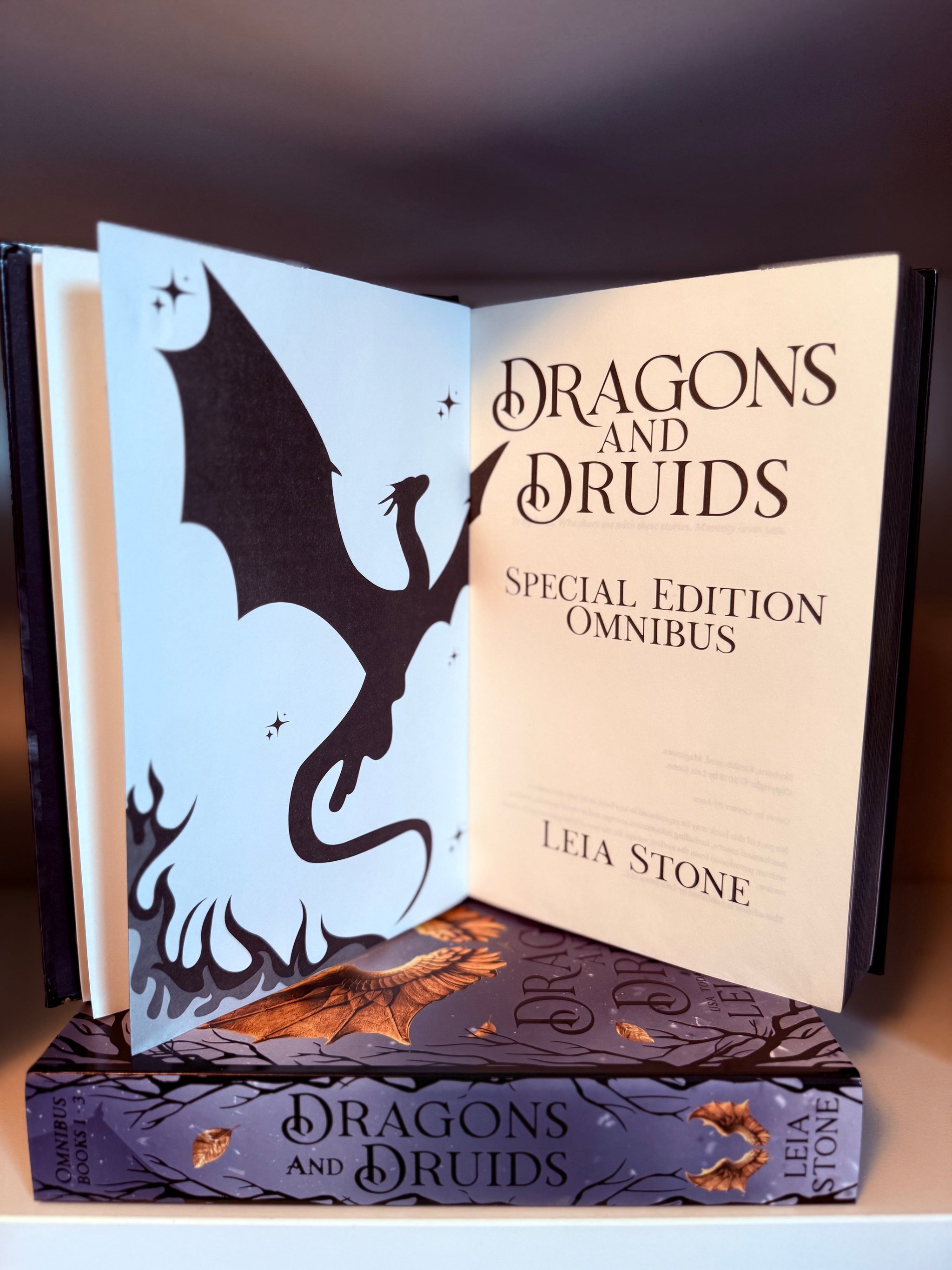 Dragons & Druids Special Edition OMNIBUS Hardback